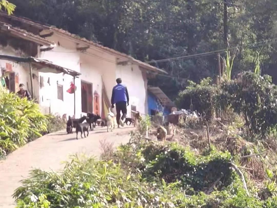 阳春房地一体项目纪实丨无悔青春多砥砺，，，，，，，，最是奋斗动人心