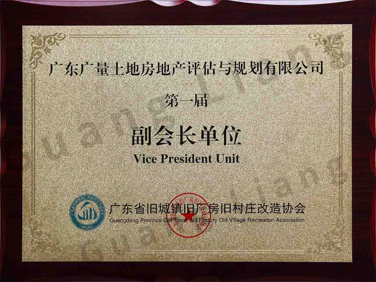 广东省旧城镇旧厂房旧村庄改造协会副会长单位