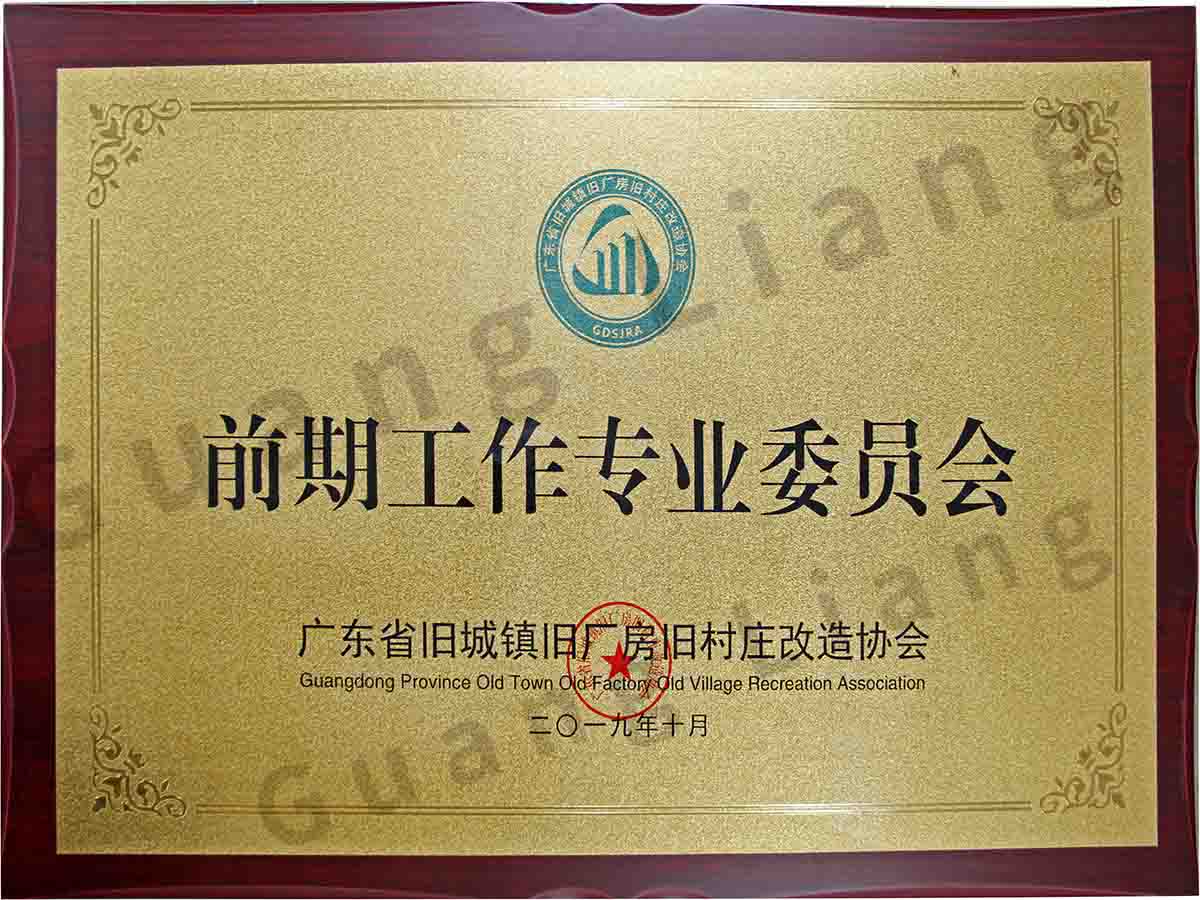 广东省旧城镇旧厂房旧村庄改造协会前期工作专业委员会主任委员